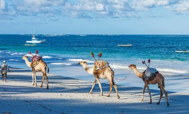 Kenya- Bush and Beach Special