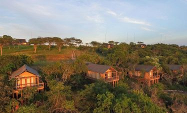 Mpumalanga -Luxury Safari Tent